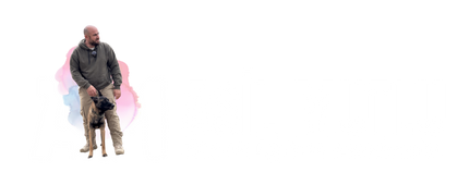 Asil%20Mutlu%20Köpek%20Eğitim%20Akademisi