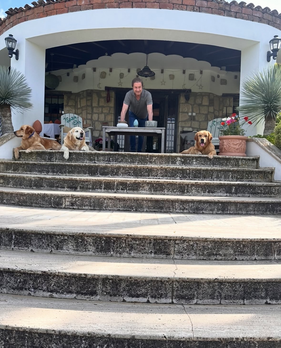 Asil%20Mutlu%20Köpek%20Eğitim%20Akademisi