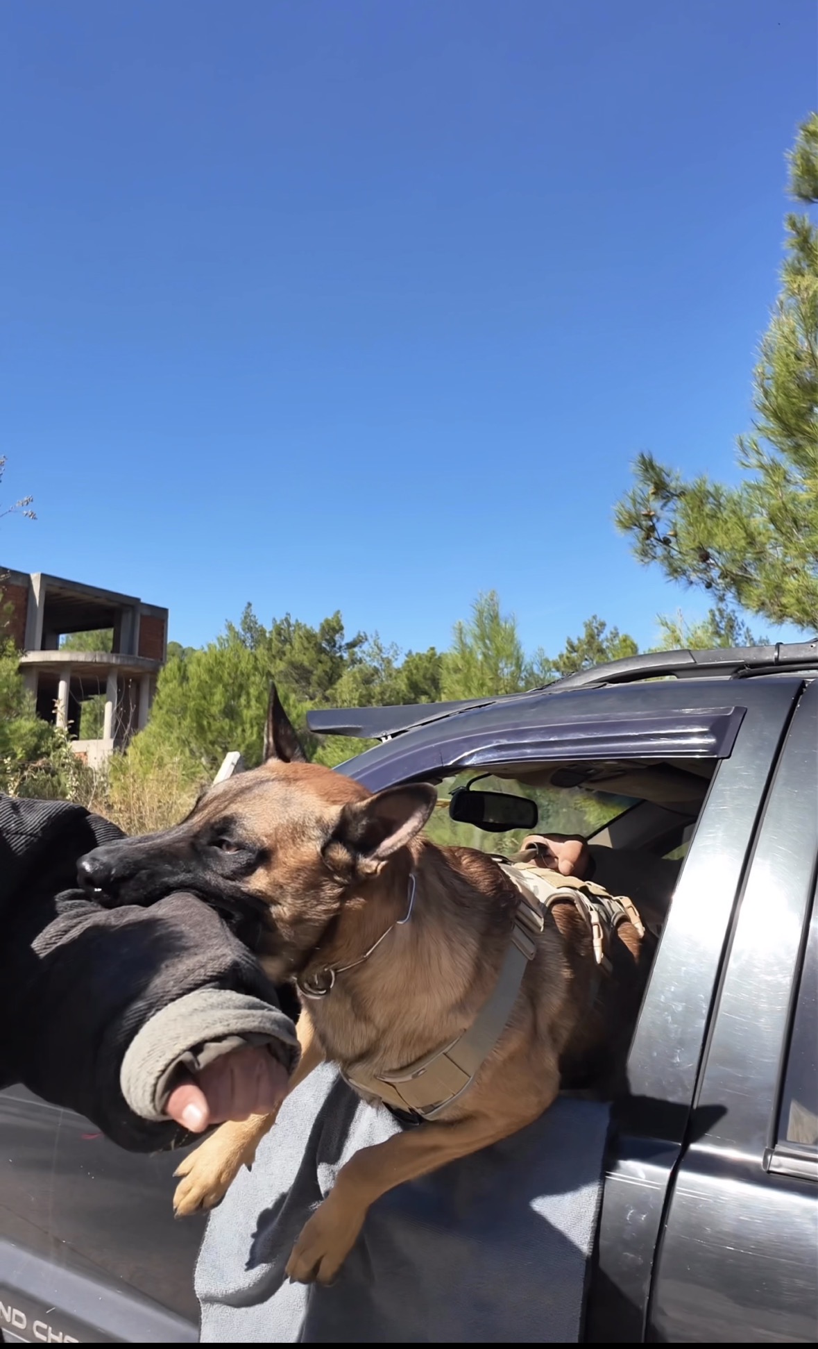 Asil%20Mutlu%20Köpek%20Eğitim%20Akademisi