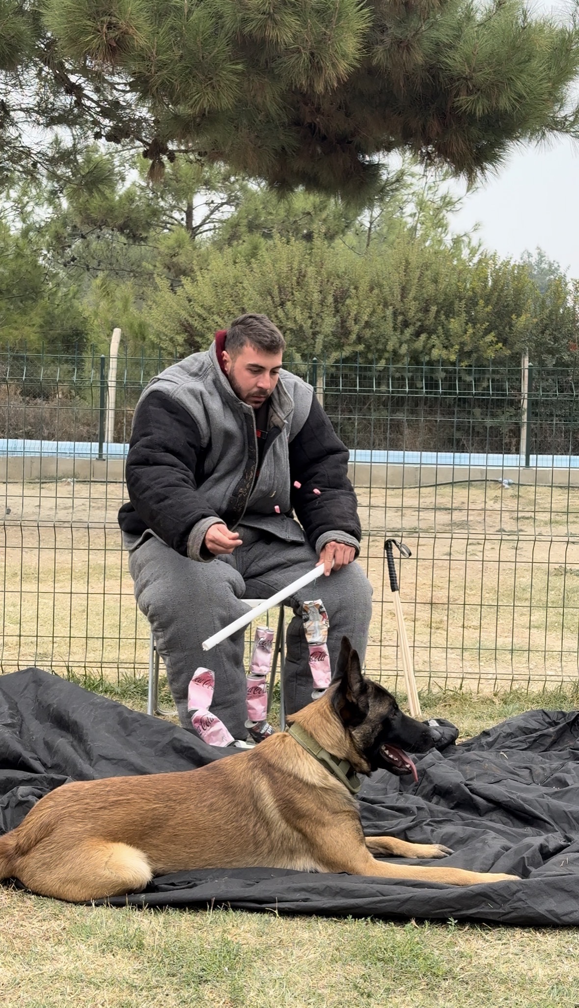 Asil%20Mutlu%20Köpek%20Eğitim%20Akademisi