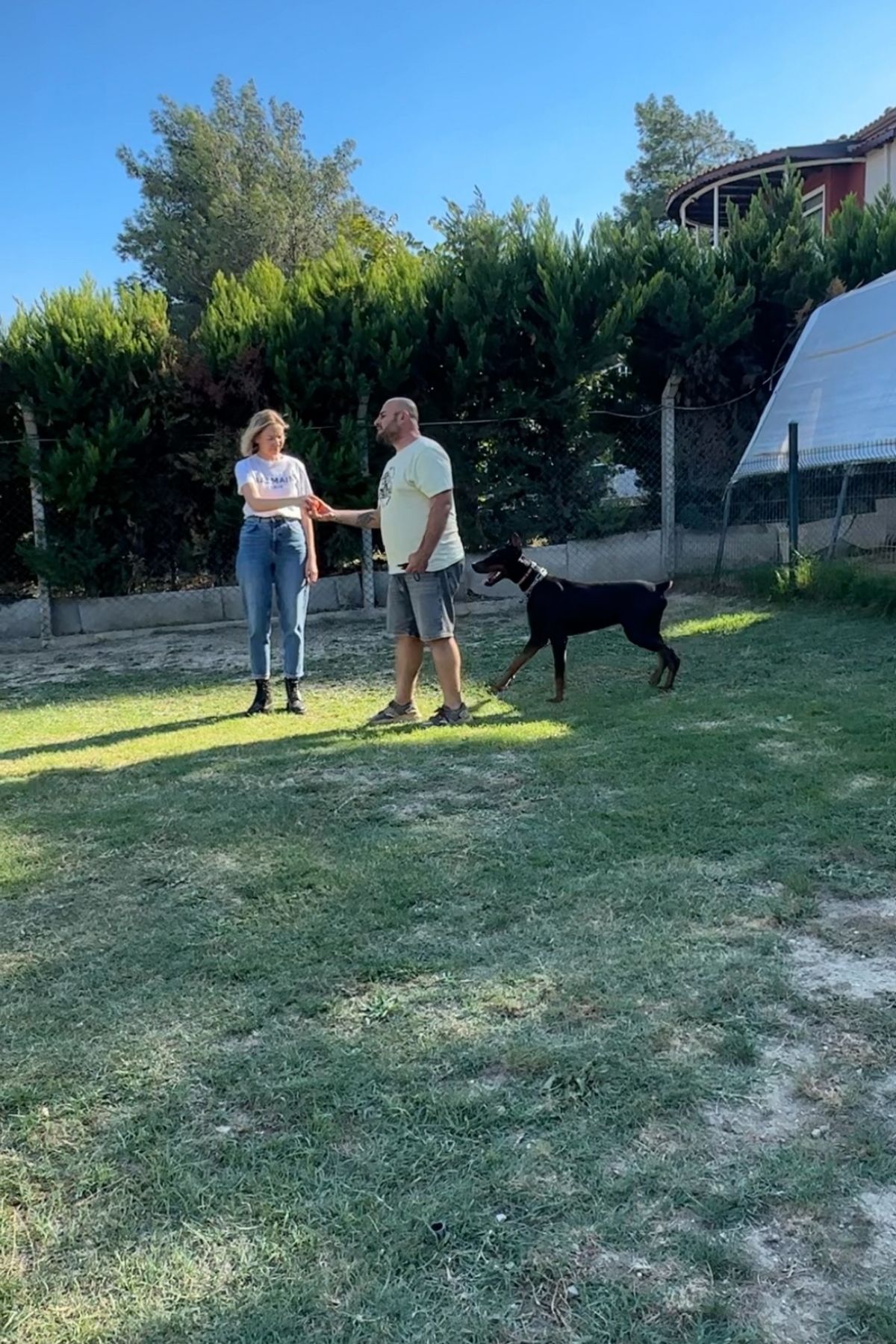 Asil%20Mutlu%20Köpek%20Eğitim%20Akademisi