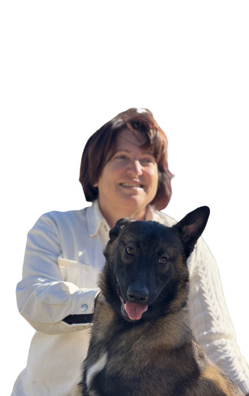 Asil%20Mutlu%20Köpek%20Eğitim%20Akademisi