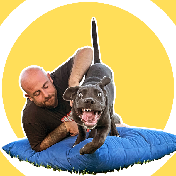 Asil%20Mutlu%20Köpek%20Eğitim%20Akademisi