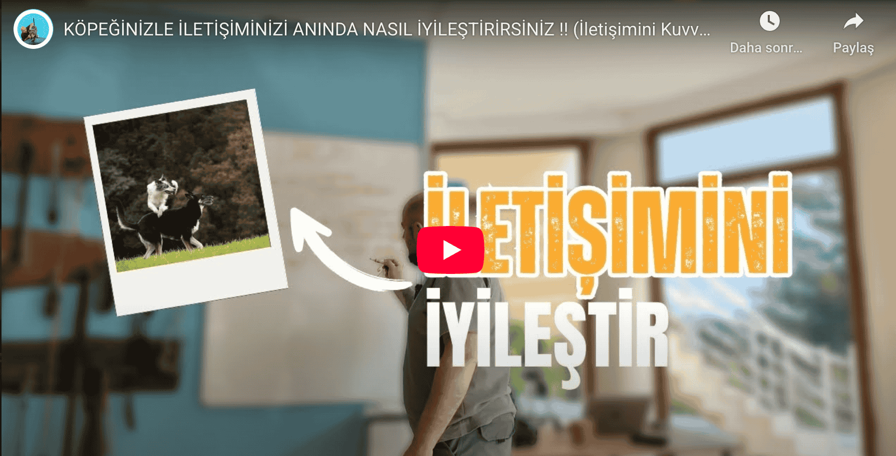 Asil%20Mutlu%20Köpek%20Eğitim%20Akademisi