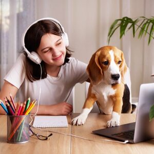 Kişisel Online Eğitim